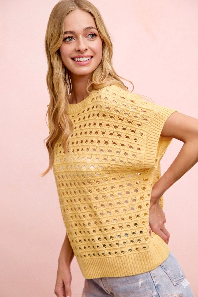 Short Sleeve Open Knit Sweater